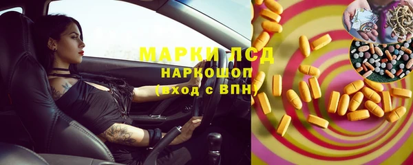 индика Вязники