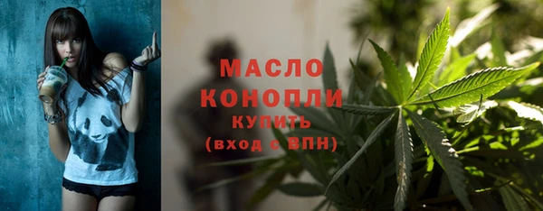 индика Вязники