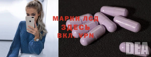 индика Вязники