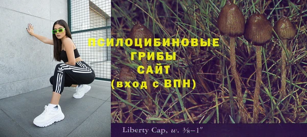 марки nbome Вяземский