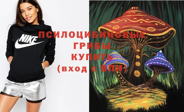 марки nbome Вяземский