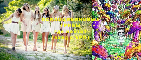 индика Вязники