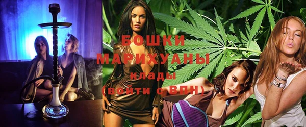 индика Вязники