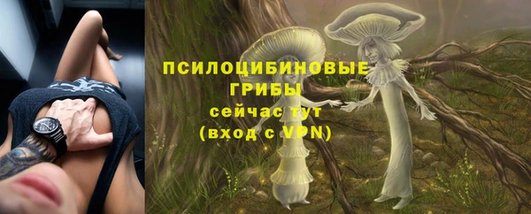 марки nbome Вяземский